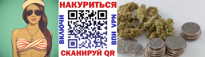 Конопля сатива  маркетплейс клад  Горняк 